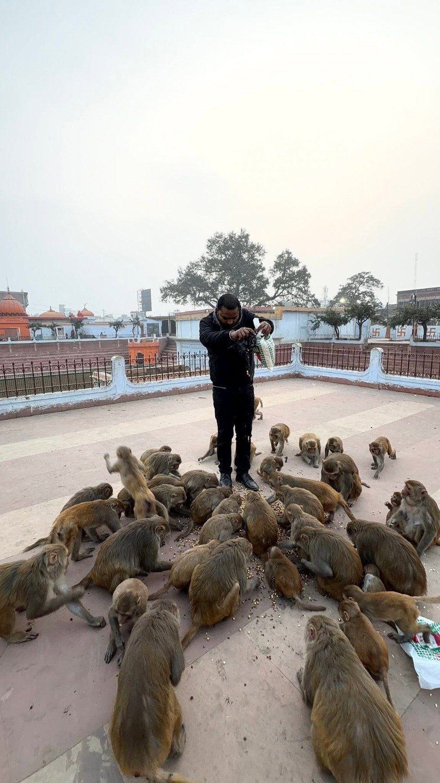 Animal Welfare