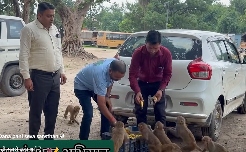Caring for Animals Vivek Tiwari